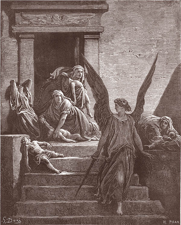 MORTE DEL PRIMOGENITO esodo 12,29-30